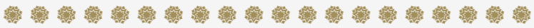 Ornament.png